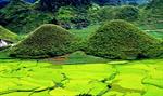 Tour Hà Giang - Sa Pa - Fansipan